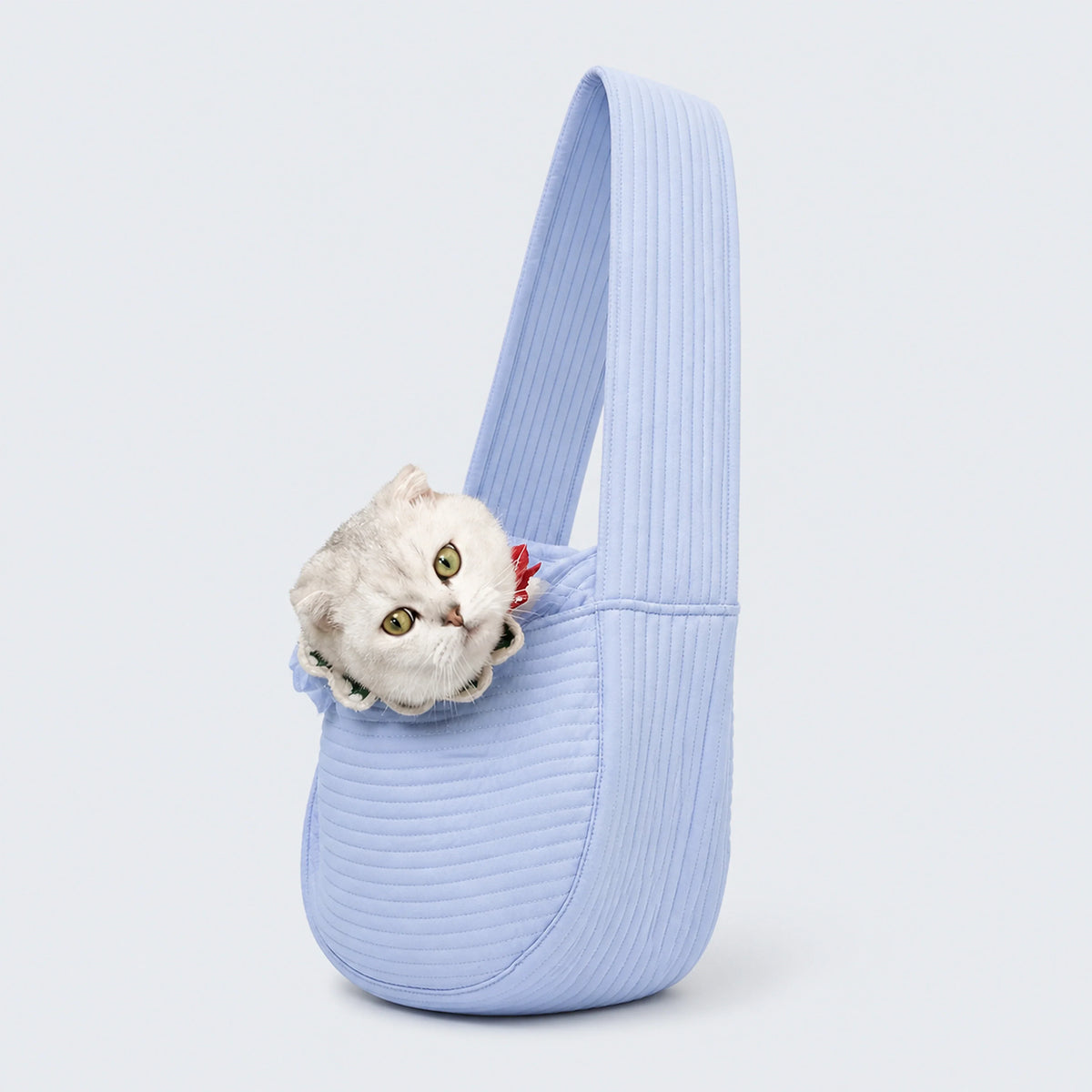 Quilted sling carrier for a cat or small dog during a supervised outing