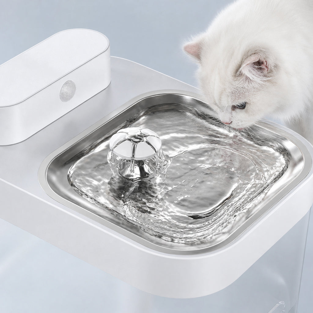 Close view of flowing water in stainless-steel cat fountain tray