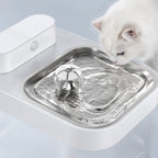 Close view of flowing water in stainless-steel cat fountain tray