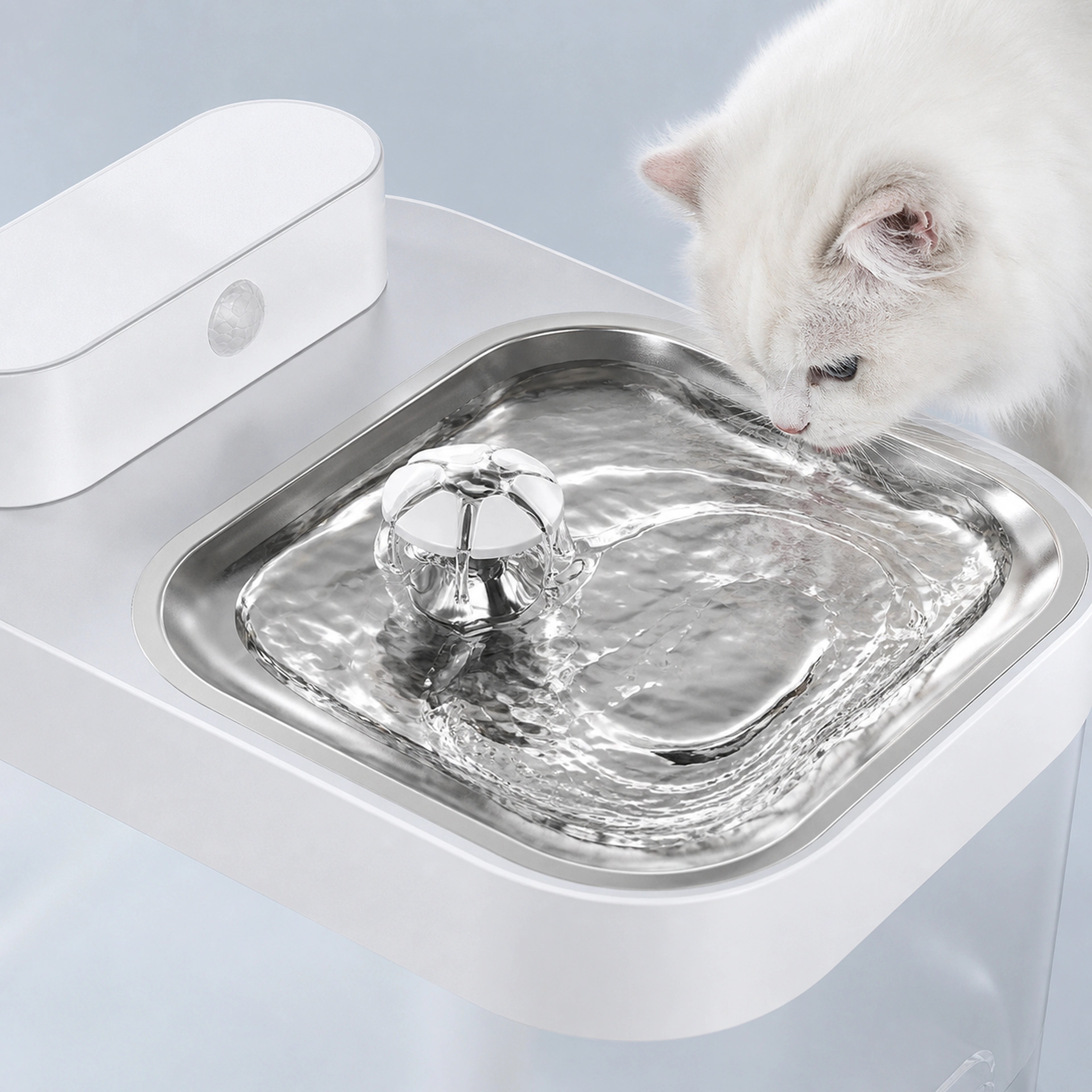 Close view of flowing water in stainless-steel cat fountain tray