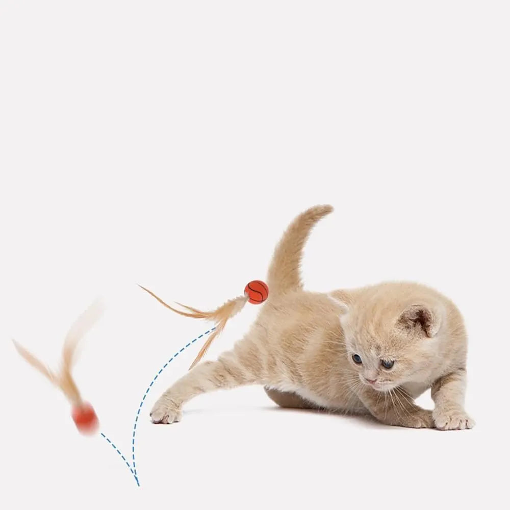 Bouncy Feather Sports Ball Toys for Indoor Cats