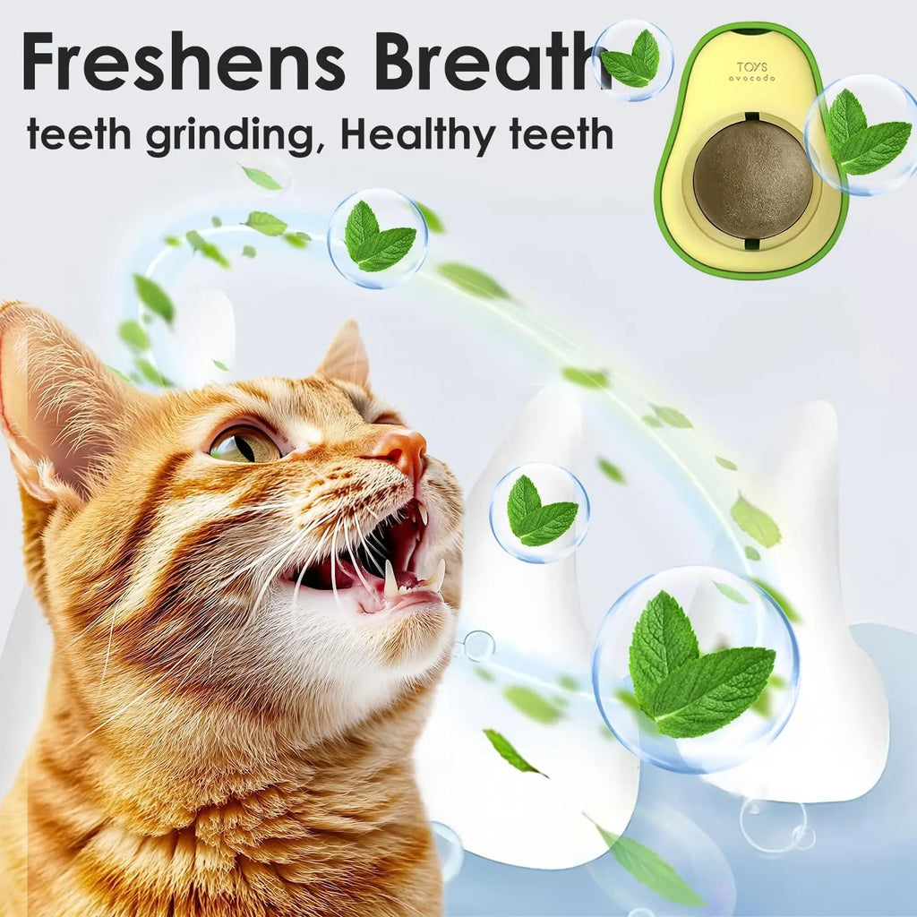 Wall-Mounted Catnip Ball Toys