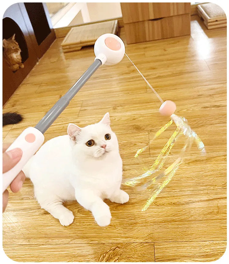 Retractable Cat Teaser Wand with 2 Attachments
