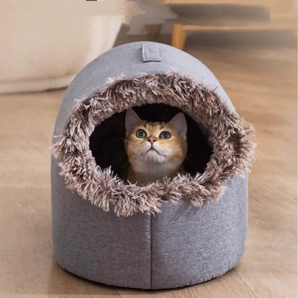 Warm Enclosed Pet House for Cats & Small Dogs – M or L