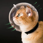 Transparent Breathable Cat Grooming Hood – M to XL