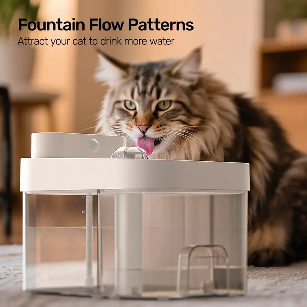 Cat drinking from the fountain