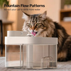 Cat drinking from the fountain