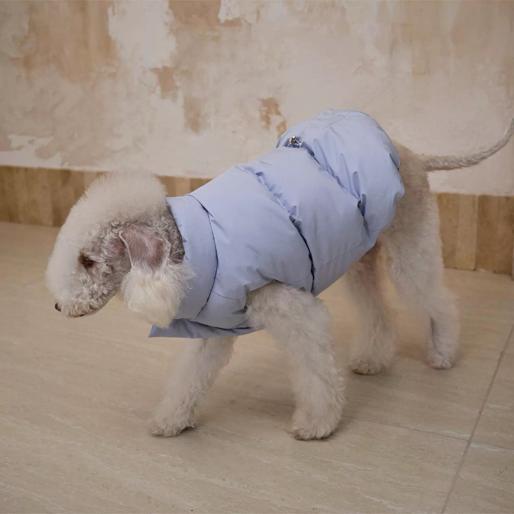 Reversible Blue & Silver Dog Puffer Jacket – 5 Sizes