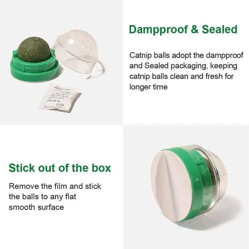 Wall-Mounted 360° Rotating Catnip Ball – 1 or 3 Pack