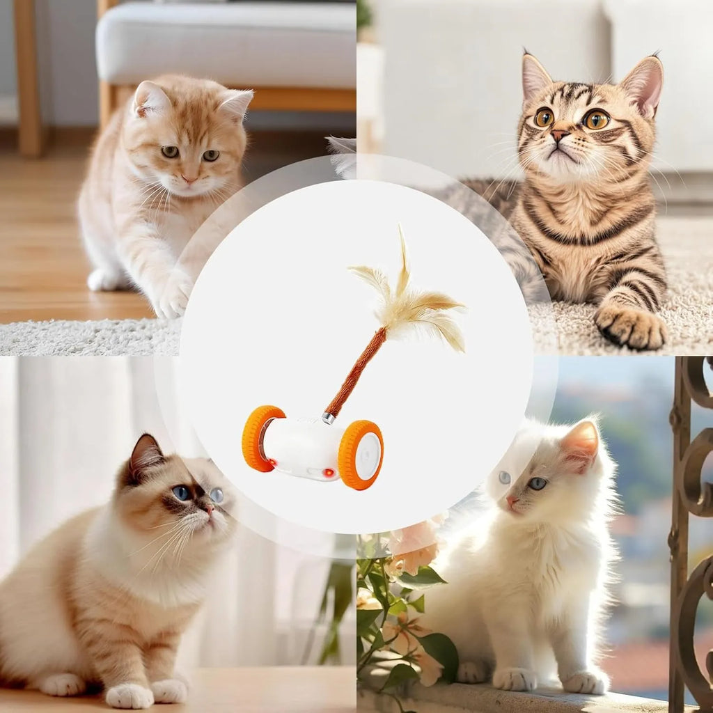 USB-Rechargeable Moving Cat Toy with Tail