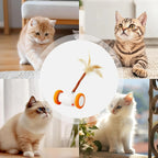 USB-Rechargeable Moving Cat Toy with Tail