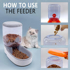 4L Gravity Pet Food & Water Dispenser