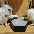 Interactive Water Droplet Cat Teaser – Single or 2-Color Set