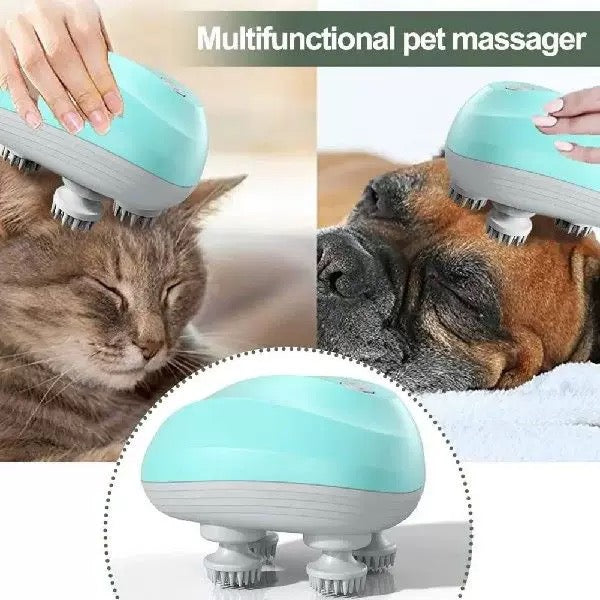 Rechargeable 4-Head Pet Massager – 4 Colors