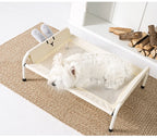 Elevated Pet Camp Bed – Grey or Yellow, 3 Sizes