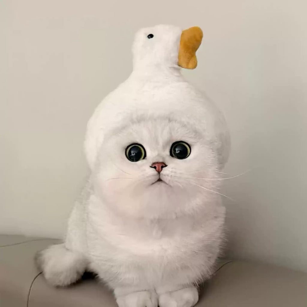 Plush Character Pet Hat – 13 Styles, Single or 3-Piece Set