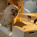 Interactive Water Droplet Cat Teaser – Single or 2-Color Set
