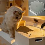 Interactive Water Droplet Cat Teaser – Single or 2-Color Set