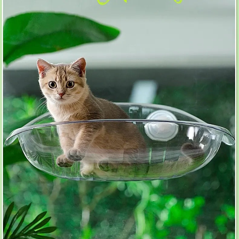Clear Suction Cup Cat Window Bubble Bed – Single or 2-Pack