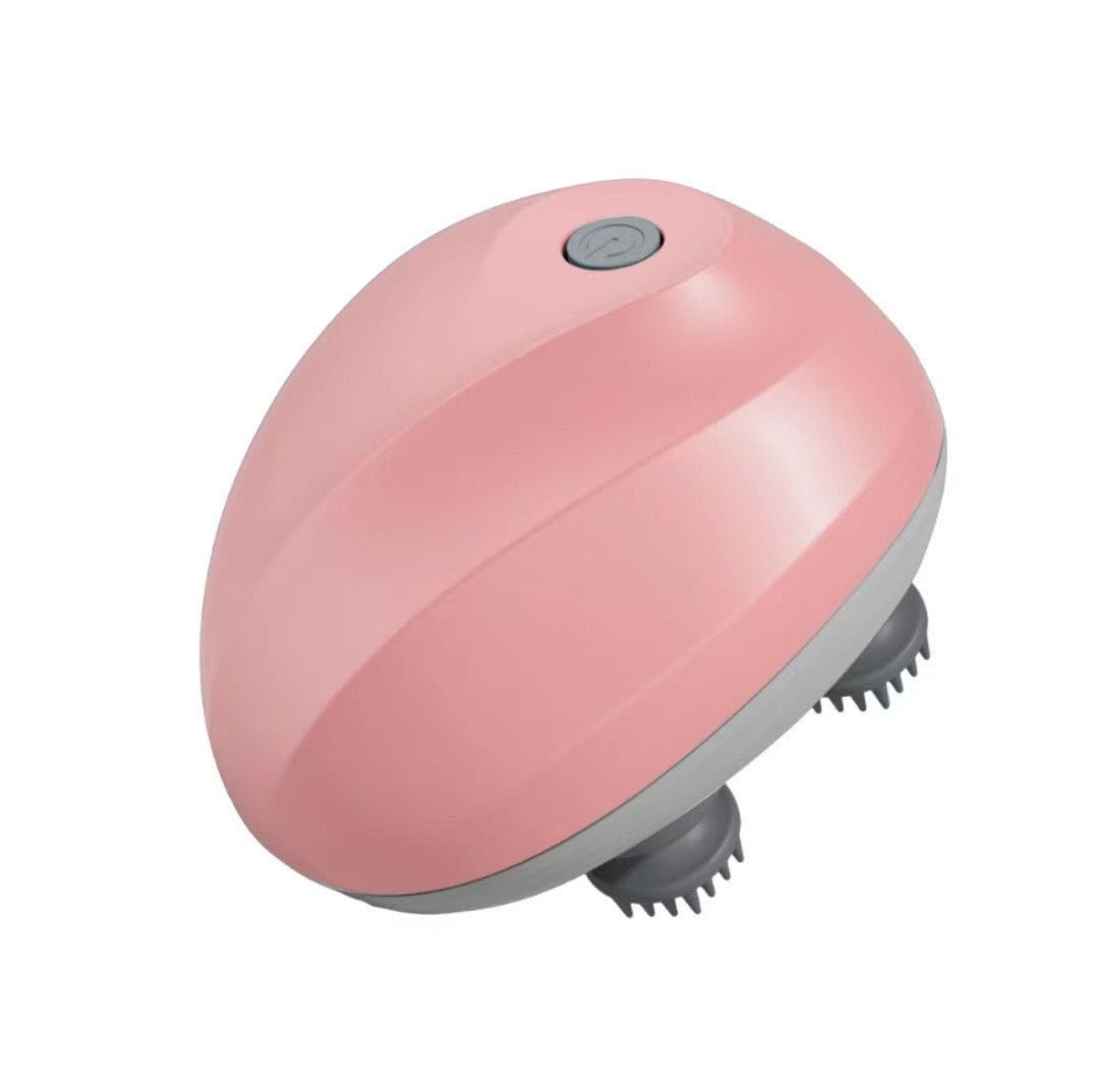 Rechargeable 4-Head Pet Massager – 4 Colors
