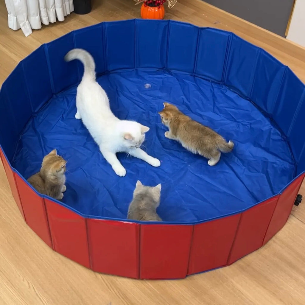 Foldable Portable Cat Litter Box – 2 Colors, 3 Sizes