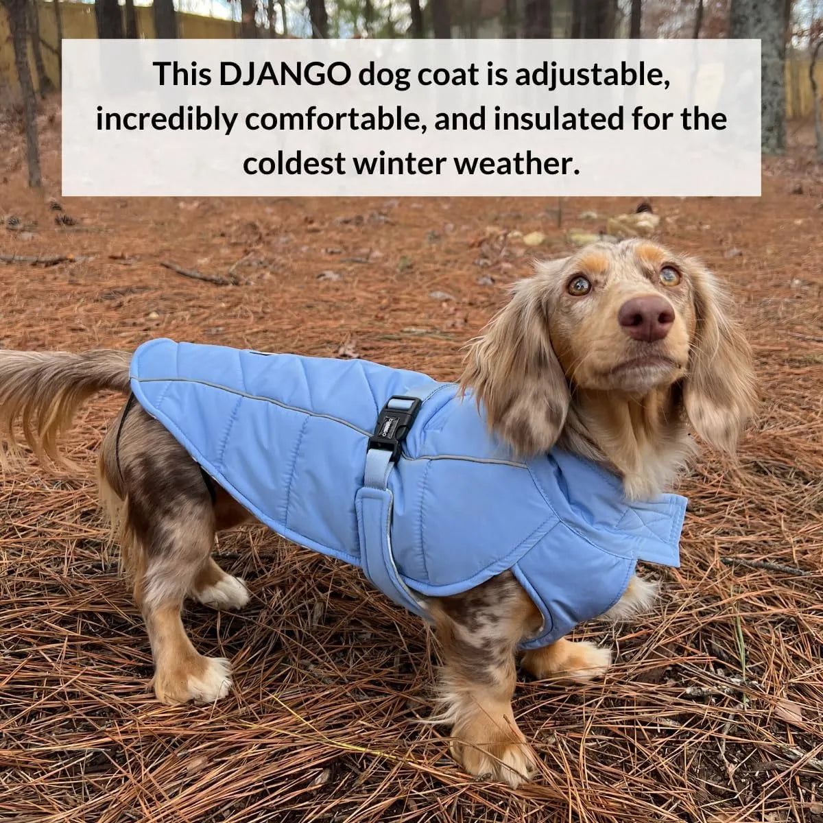 Adjustable Insulated Dog Coat – 3 Colors, 4 Sizes