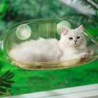 Clear Suction Cup Cat Window Bubble Bed – Single or 2-Pack