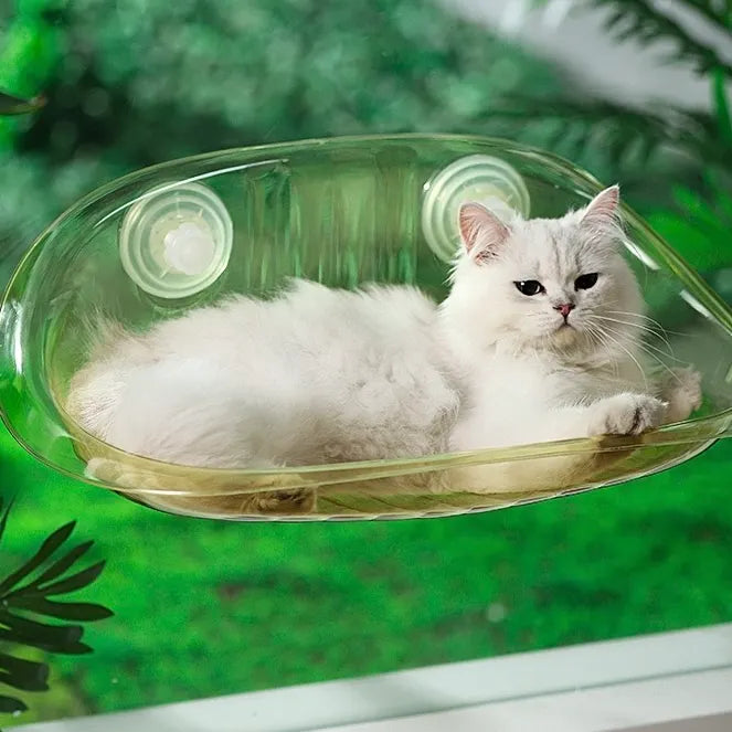 Clear Suction Cup Cat Window Bubble Bed – Single or 2-Pack