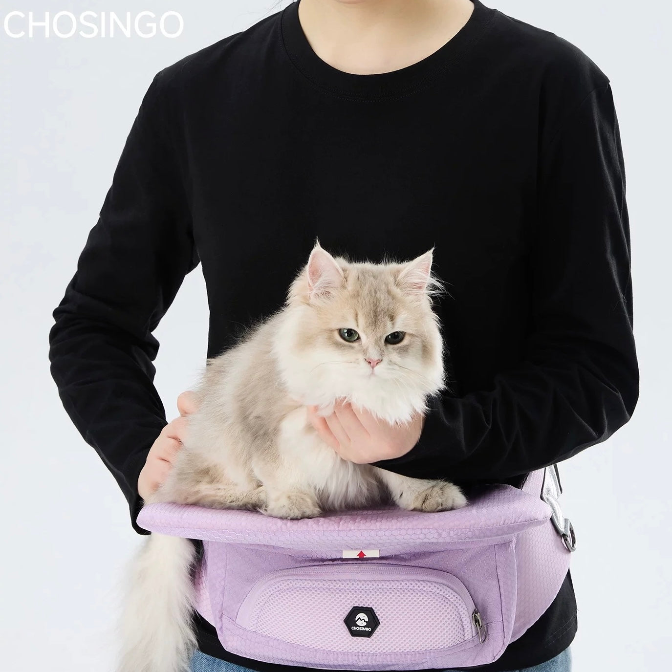 Hands-Free Pet Carrier Hip Seat for Small Dogs and Cats – 3 Colors