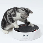 Interactive Rotating Mouse Track Cat Toy with Felt Scratcher