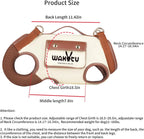 Supportive Small Dog Vest Harness – 2 Colors, 4 Sizes