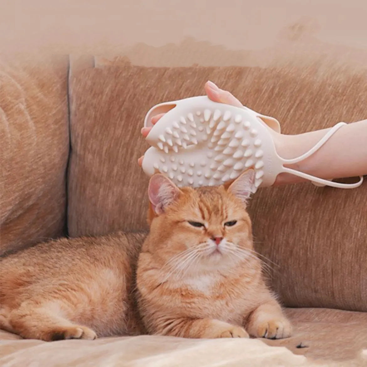 2-in-1 Pet Hair Removal Grooming Glove