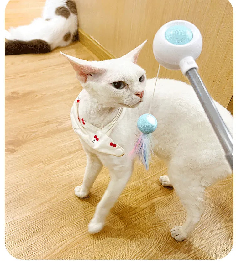 Retractable Cat Teaser Wand with 2 Attachments