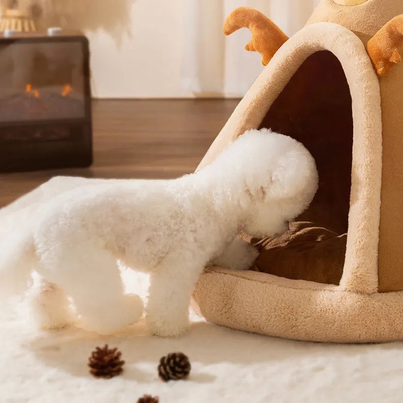 Indoor Cat Tent Nest Bed – 6 Styles & 4 Sizes