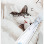 Rechargeable Pet Hair Suction Clipper – Single or 2-Piece Set