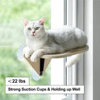 Suction Cup Window Cat Shelves & Scratching Post – 3 Styles