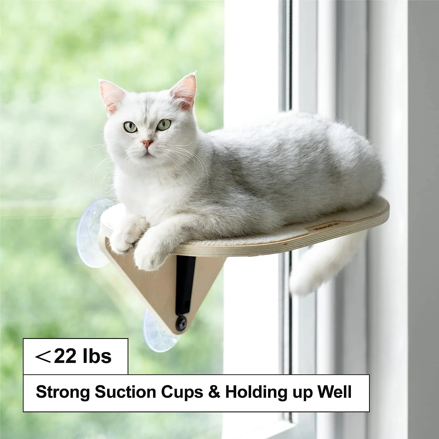 Suction Cup Window Cat Shelves & Scratching Post – 3 Styles