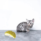 Wall Corner Cat Scratcher – Single or 2-Piece Set