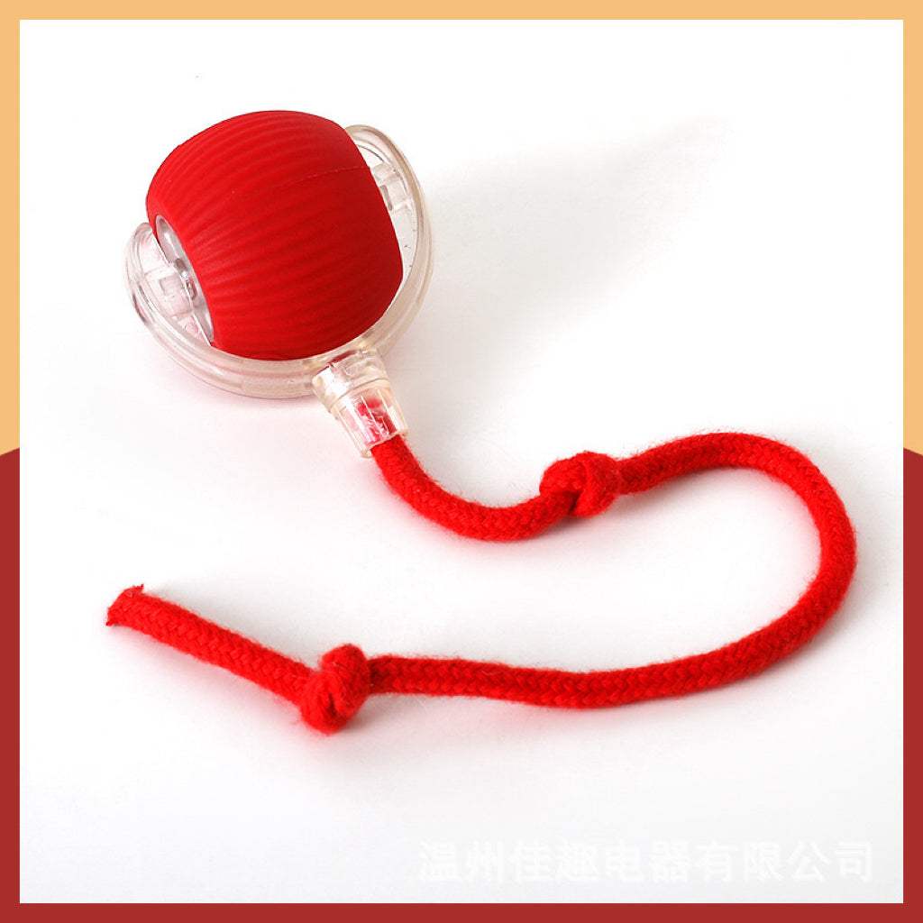 Rechargeable Smart Rolling Pet Ball – 7 Styles