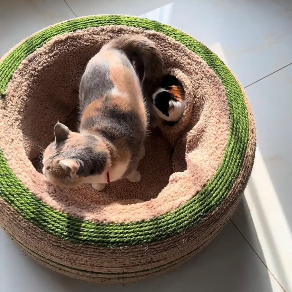 Donut Cat Tunnel Bed for Indoor Cats – 3 Colors