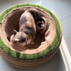 Donut Cat Tunnel Bed for Indoor Cats – 3 Colors