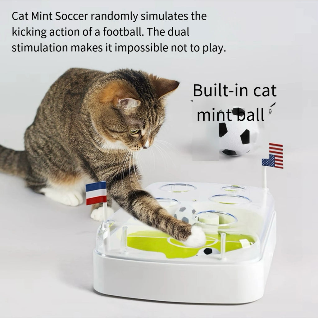 Interactive Tabletop Soccer Game for Cats