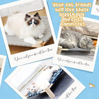 Elevated Hammock Bed for Cats & Small Dogs