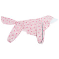 Full-Coverage Large Dog Raincoat with Clear-Brim Hood