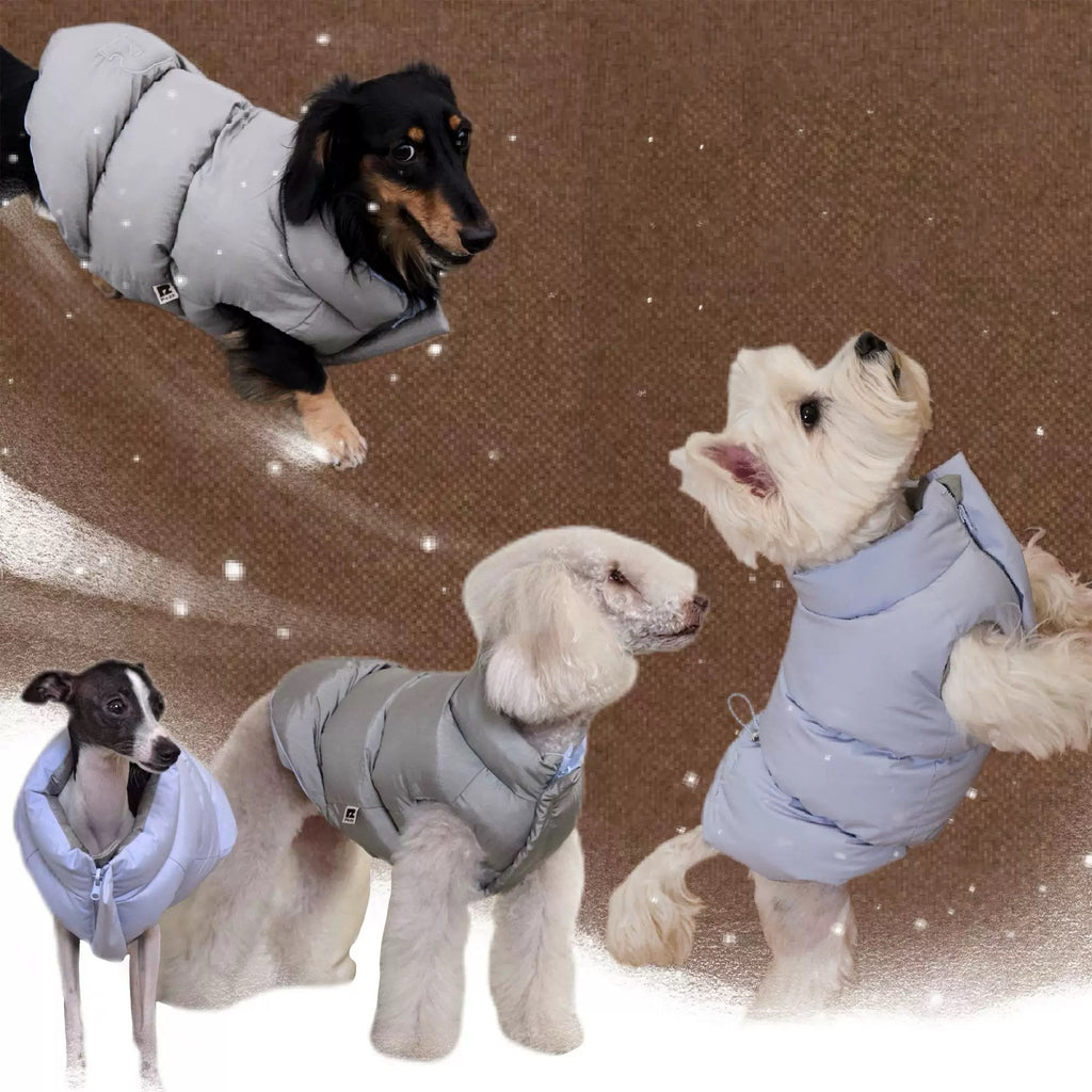 Reversible Blue & Silver Dog Puffer Jacket – 5 Sizes