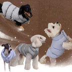 Reversible Blue & Silver Dog Puffer Jacket – 5 Sizes