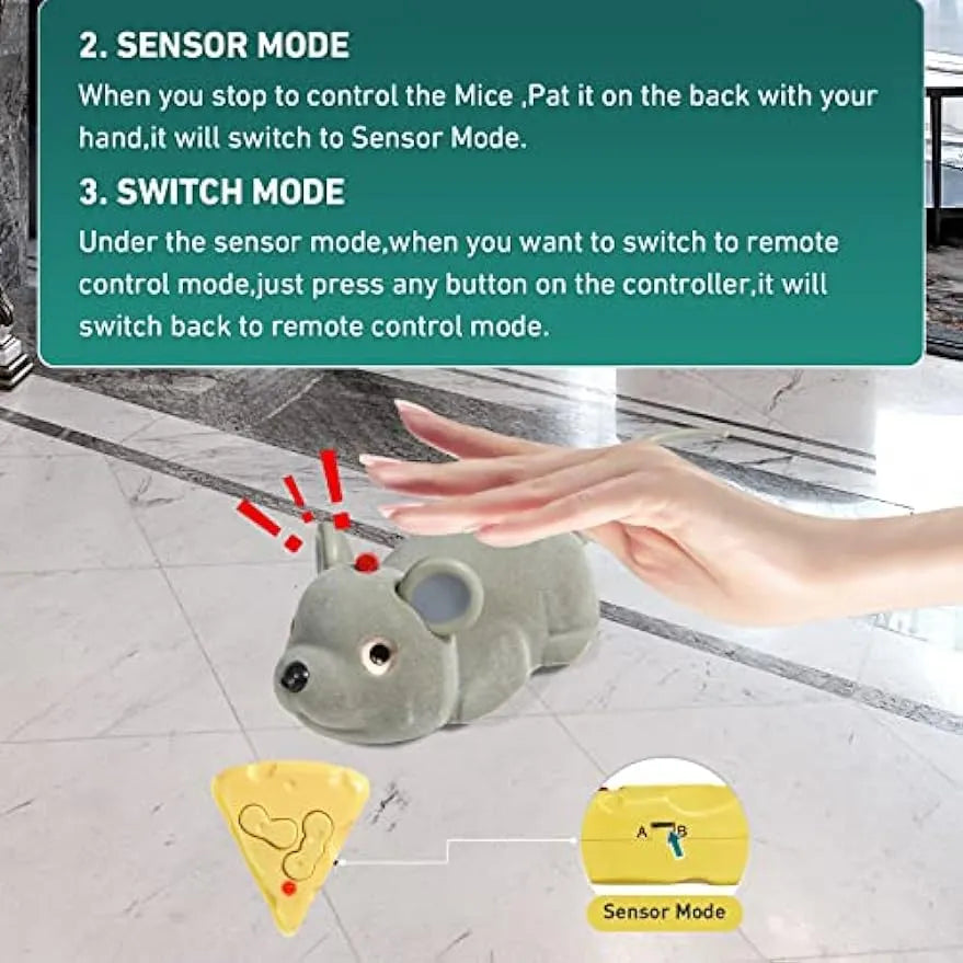 Remote-Control and Smart-Sensing Moving Pet Toys – 4 Designs