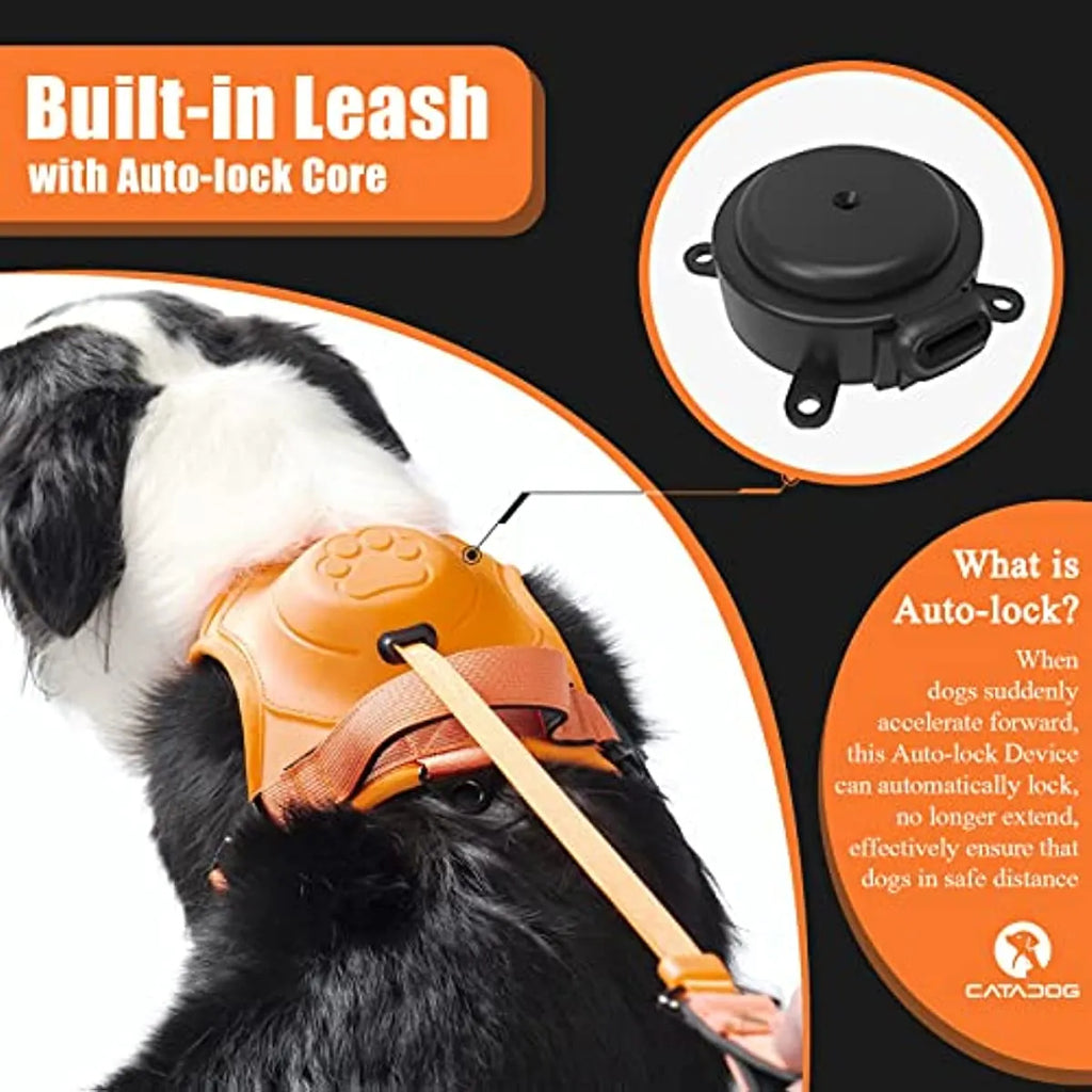 Dog Harness with Built-In Retractable Leash – 3 Colors