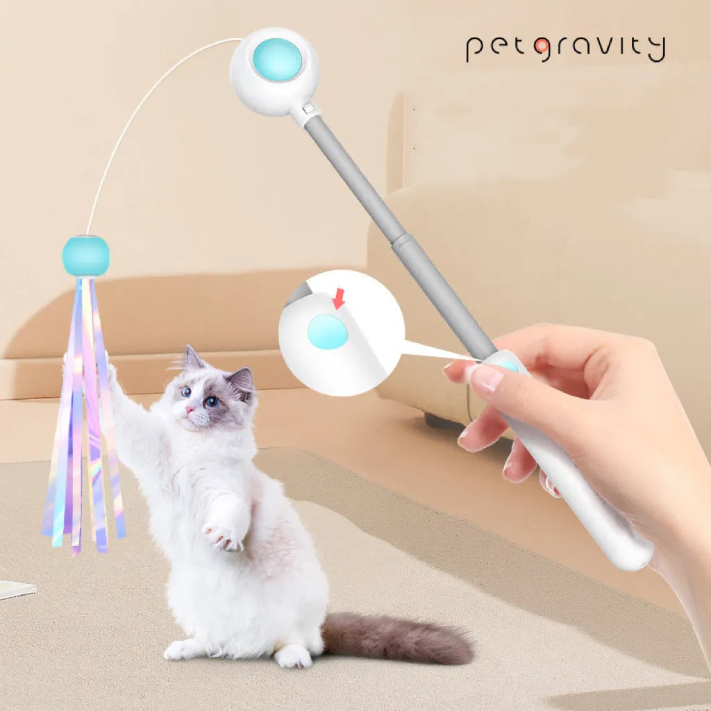 Retractable Cat Teaser Wand with 2 Attachments