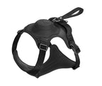 Dog Harness with Built-In Retractable Leash – 3 Colors